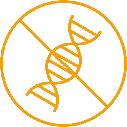 Vitamin B6 Nahrungsergänzungsmittel sind ohne Gentechnik, GMO Free, ohne Gentechnik.