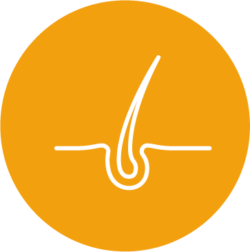 Nahrungsergänzungsmittel gegen Haarausfall mit Biotin, Zink und Folsäure, Venus Vital ist ein premium Nahrungsergänzungsmittel für schöne Haare, und gegen Haarausfall und gegen Haarprobleme. Mikronährstoffe gegen Haarausfall