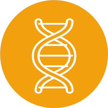 dna schutz.png__PID:fc6d5e34-dbe2-4c06-91a1-15b35a7cf40b